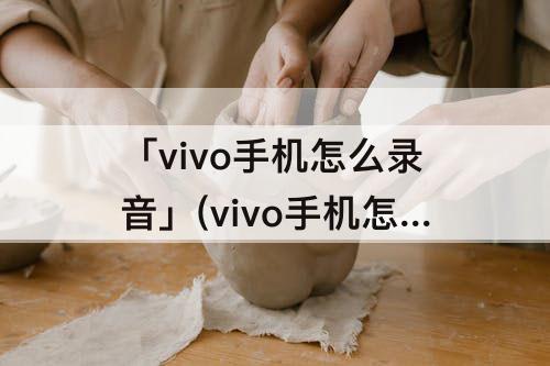 「vivo手机怎么录音」(vivo手机怎么录音微信语音通话)
