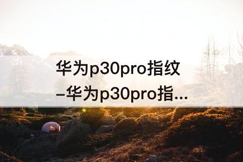 华为p30pro指纹-华为p30pro指纹锁怎么没有了
