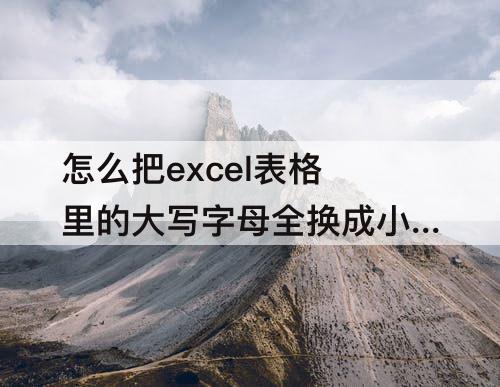 怎么把excel表格里的大写字母全换成小写