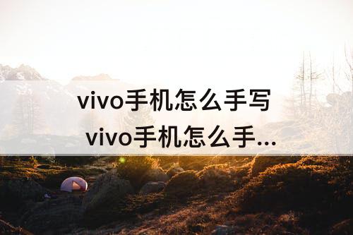 vivo手机怎么手写 vivo手机怎么手写备忘录