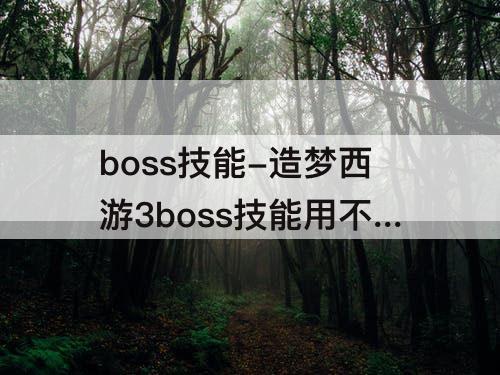 boss技能-造梦西游3boss技能用不了