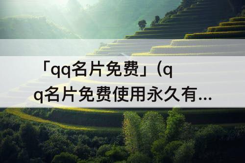 「qq名片免费」(qq名片免费使用永久有哪些)