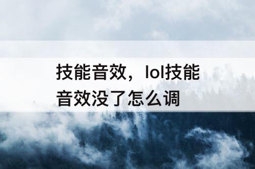 技能音效，lol技能音效没了怎么调