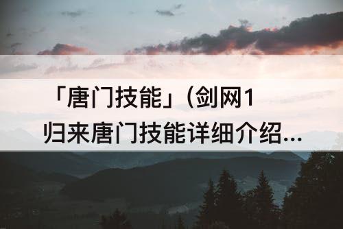 「唐门技能」(剑网1归来唐门技能详细介绍)