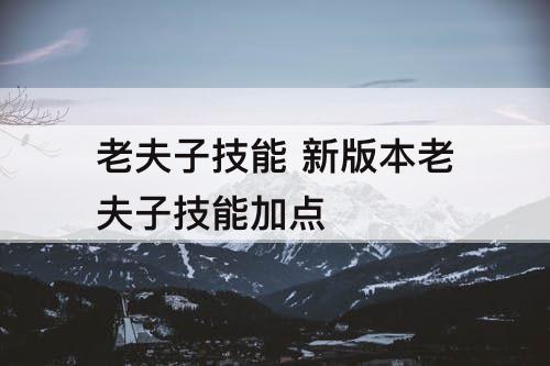 老夫子技能 新版本老夫子技能加点