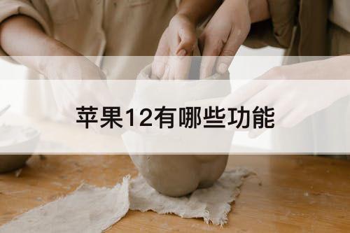苹果12有哪些功能