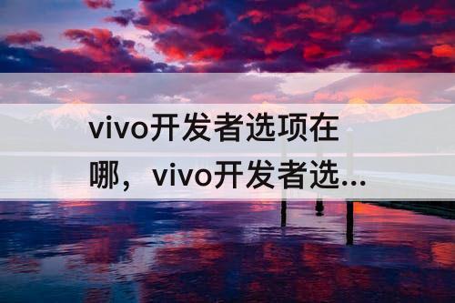 vivo开发者选项在哪，vivo开发者选项在哪里关闭?