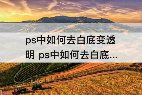 ps中如何去白底变透明 ps中如何去白底变透明不用蒙版