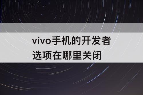 vivo手机的开发者选项在哪里关闭