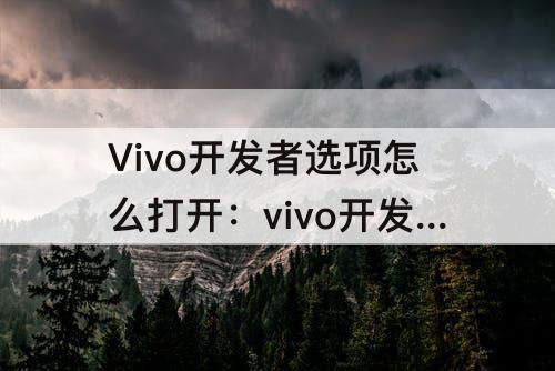 Vivo开发者选项怎么打开：vivo开发者选项怎么打开光遇分屏