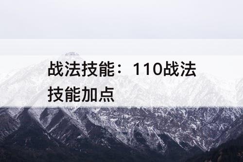 战法技能：110战法技能加点