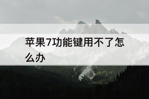 苹果7功能键用不了怎么办