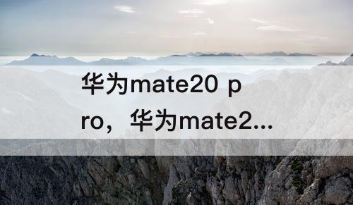 华为mate20 pro，华为mate20 pro和mate20