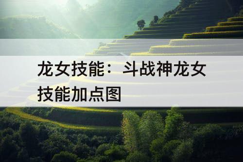 龙女技能：斗战神龙女技能加点图