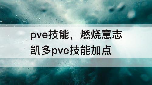 pve技能，燃烧意志凯多pve技能加点