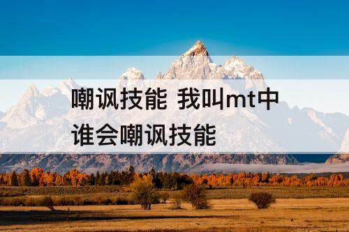 嘲讽技能 我叫mt中谁会嘲讽技能