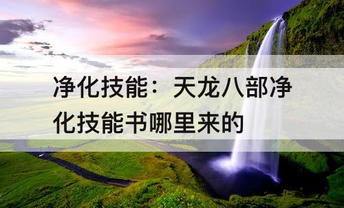 净化技能：天龙八部净化技能书哪里来的