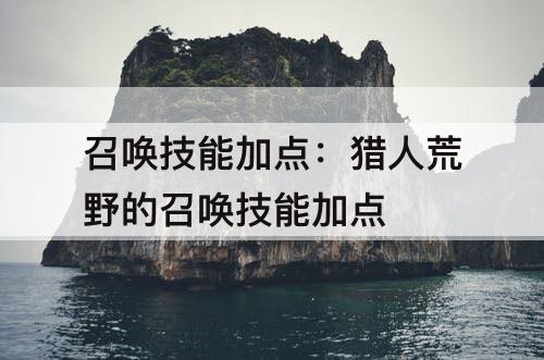 召唤技能加点：猎人荒野的召唤技能加点
