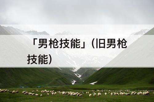 「男枪技能」(旧男枪技能)