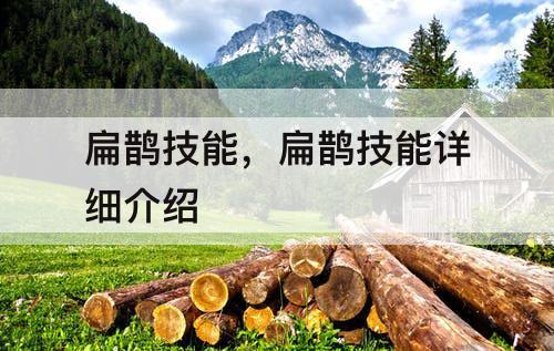扁鹊技能，扁鹊技能详细介绍