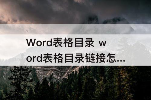 Word表格目录 word表格目录链接怎么做的