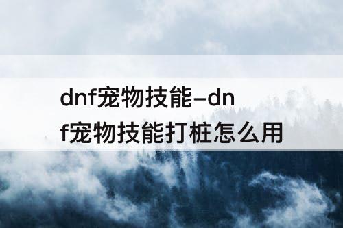 dnf宠物技能-dnf宠物技能打桩怎么用