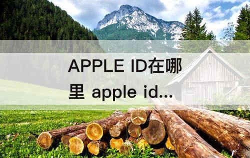 APPLE ID在哪里 apple id在哪里查看苹果12