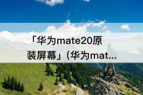 「华为mate20原装屏幕」(华为mate20原装屏幕供应商)