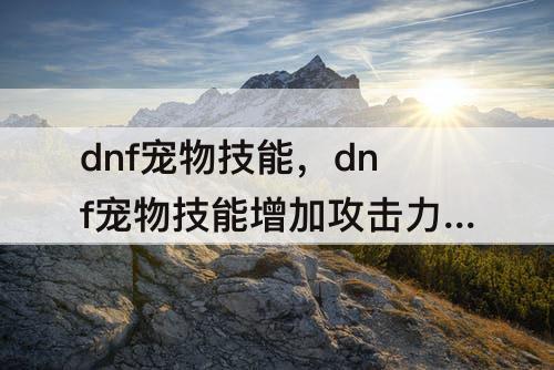 dnf宠物技能，dnf宠物技能增加攻击力有用么