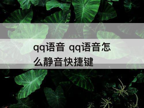 qq语音 qq语音怎么静音快捷键
