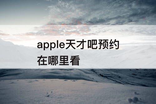 apple天才吧预约在哪里看
