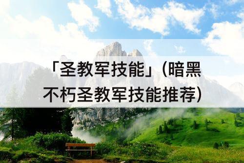 「圣教军技能」(暗黑不朽圣教军技能推荐)