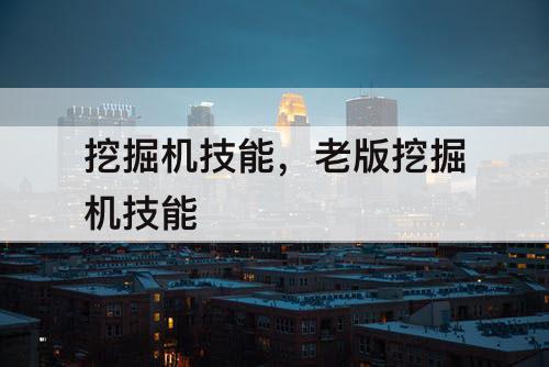 挖掘机技能，老版挖掘机技能