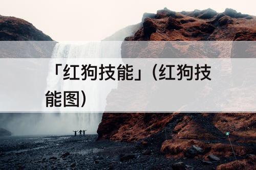 「红狗技能」(红狗技能图)