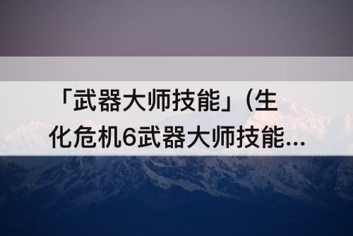 「武器大师技能」(生化危机6武器大师技能详解)
