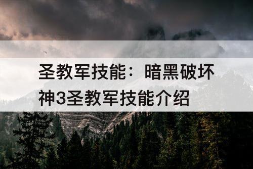圣教军技能：暗黑破坏神3圣教军技能介绍