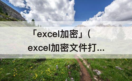 「excel加密」(excel加密文件打开没反应)