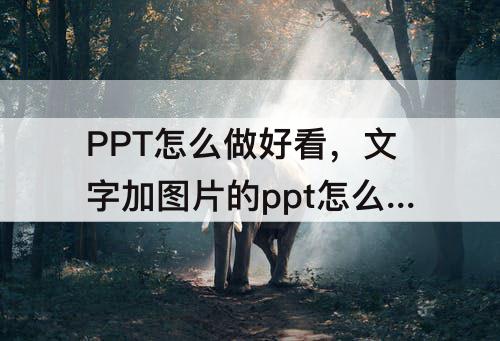 PPT怎么做好看，文字加图片的ppt怎么做好看