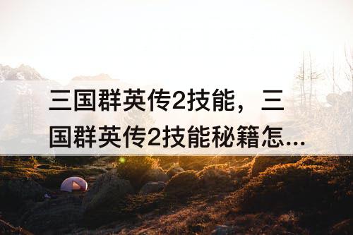三国群英传2技能，三国群英传2技能秘籍怎么是F放技能