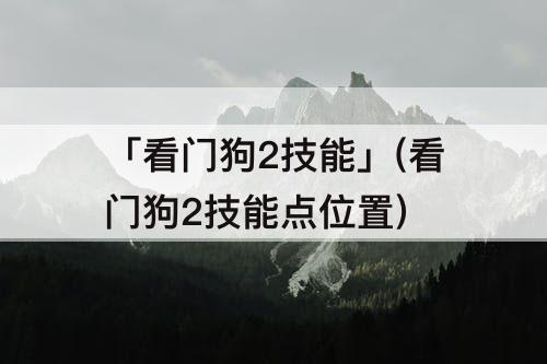 「看门狗2技能」(看门狗2技能点位置)