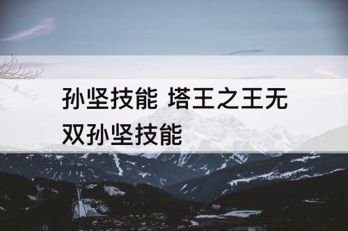 孙坚技能 塔王之王无双孙坚技能
