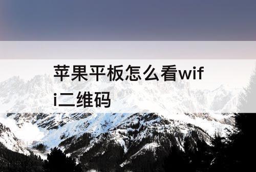 苹果平板怎么看wifi二维码