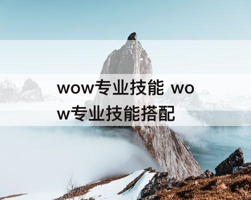 wow专业技能 wow专业技能搭配