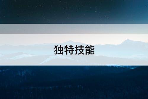 独特技能