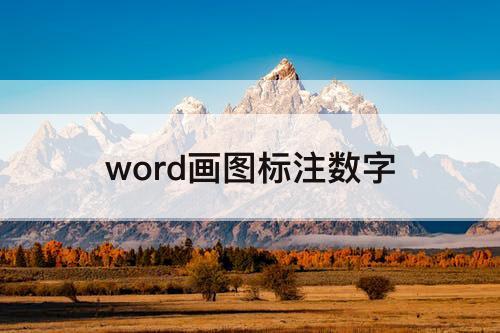 word画图标注数字