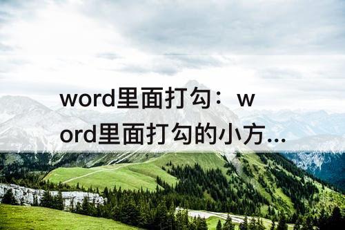 word里面打勾：word里面打勾的小方框怎么弄