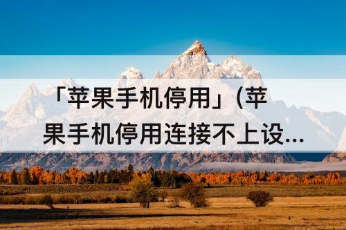 「苹果手机停用」(苹果手机停用连接不上设备怎么解决)