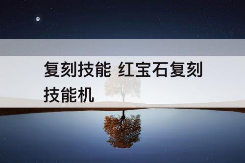 复刻技能 红宝石复刻技能机