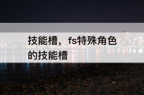 技能槽，fs特殊角色的技能槽