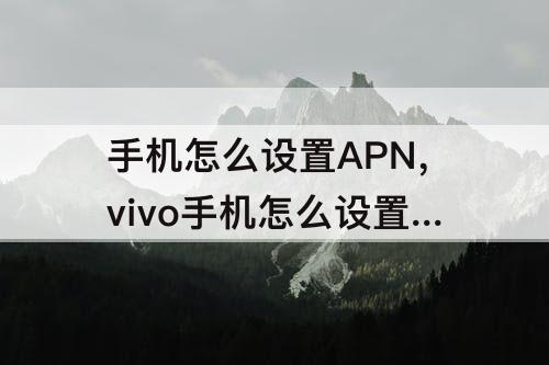 手机怎么设置APN，vivo手机怎么设置APN